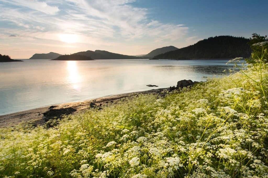 Bic National Park - Rivière du Sud-Ouest Campground