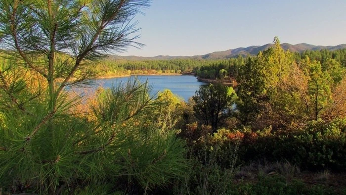 Arizona Whistlestop Luxury RV Park - Part 1