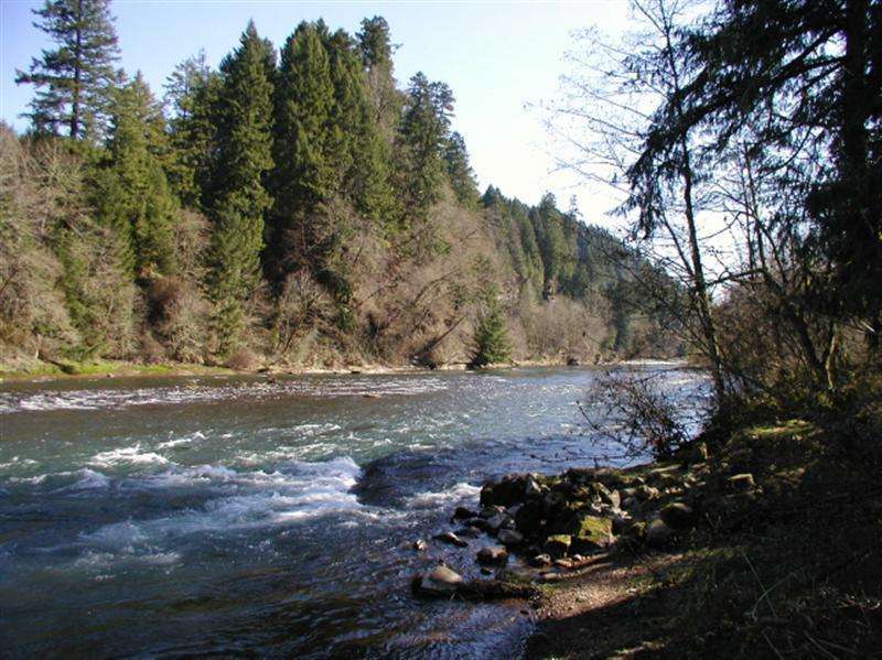 John Neal Memorial County Park