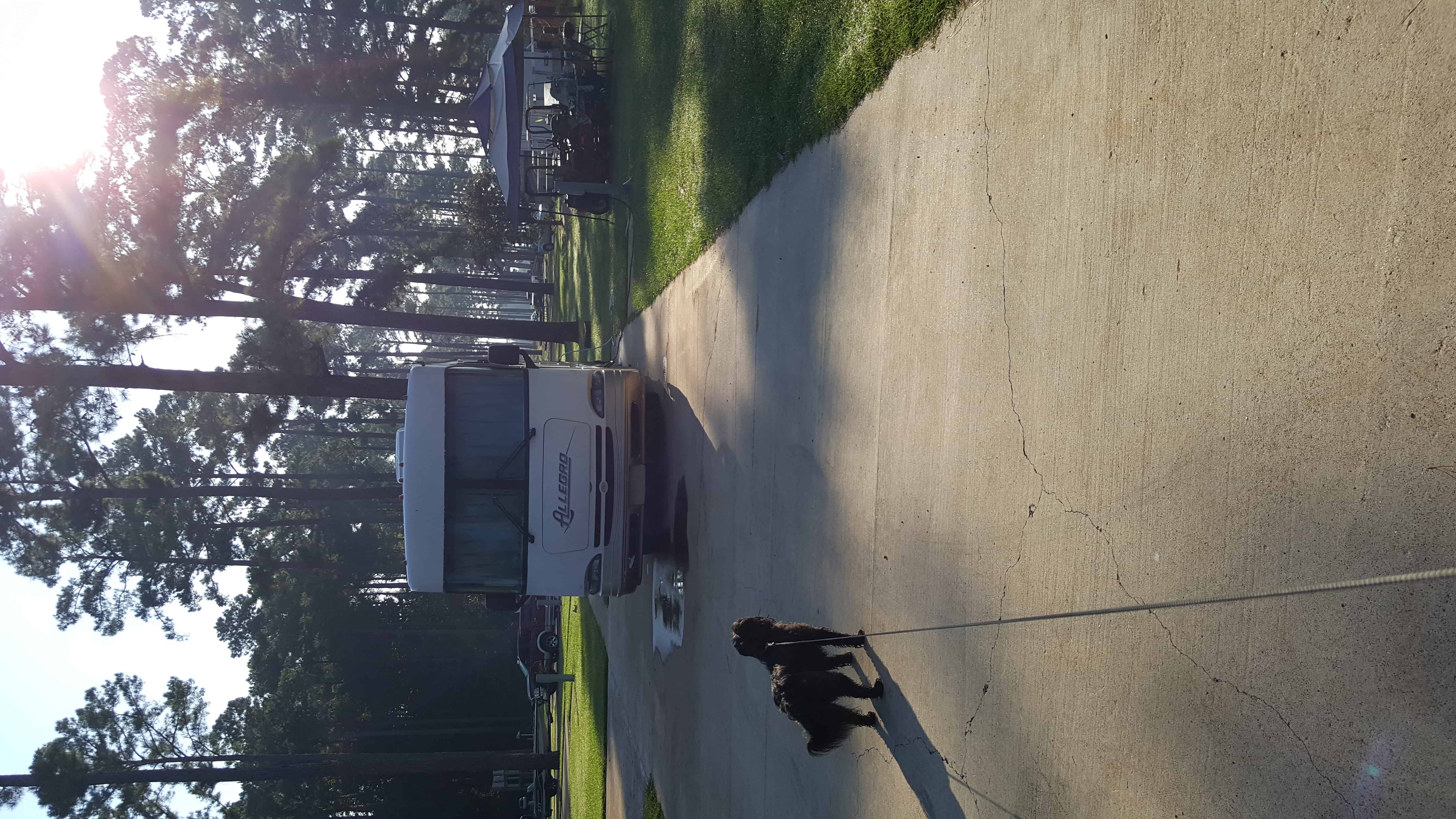 Pickwick Landing State Park