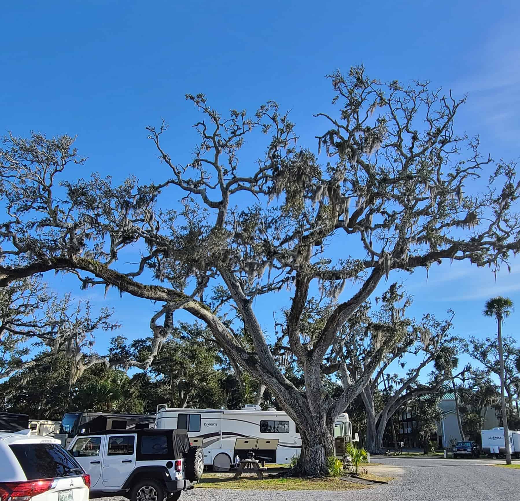 Presnell's Bayside Marina & RV Resort