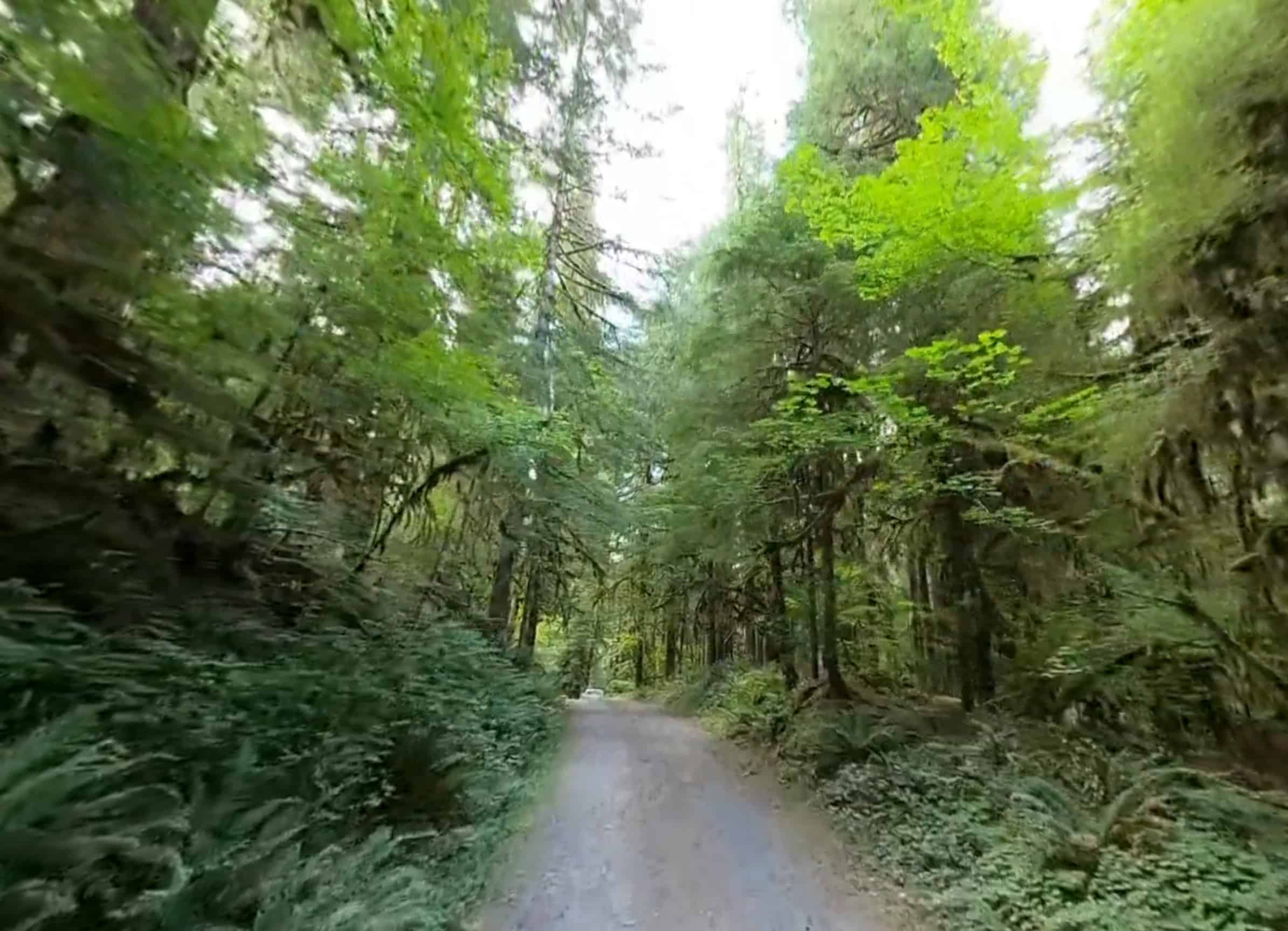 Still Creek Campground