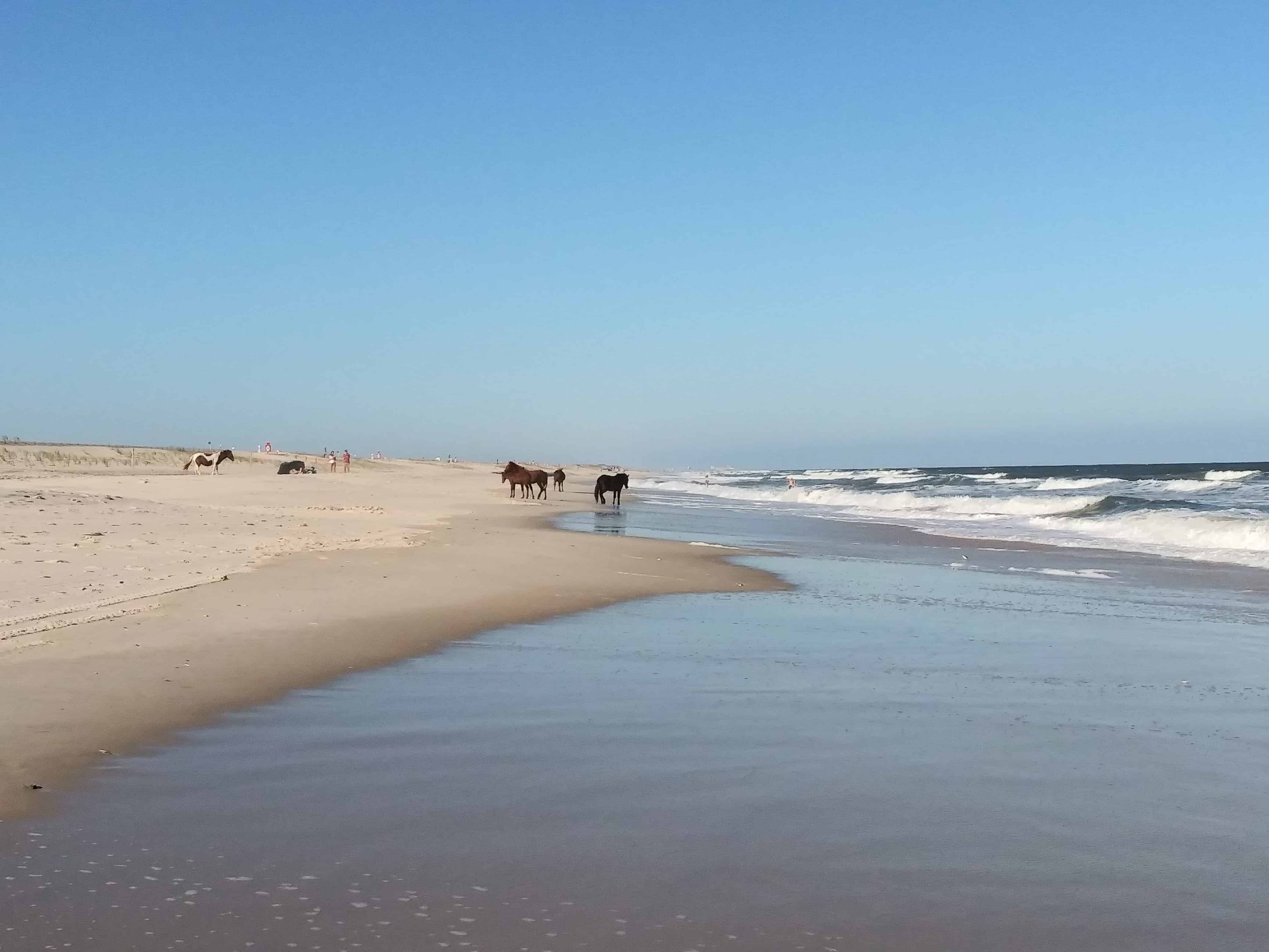 Assateague State Park
