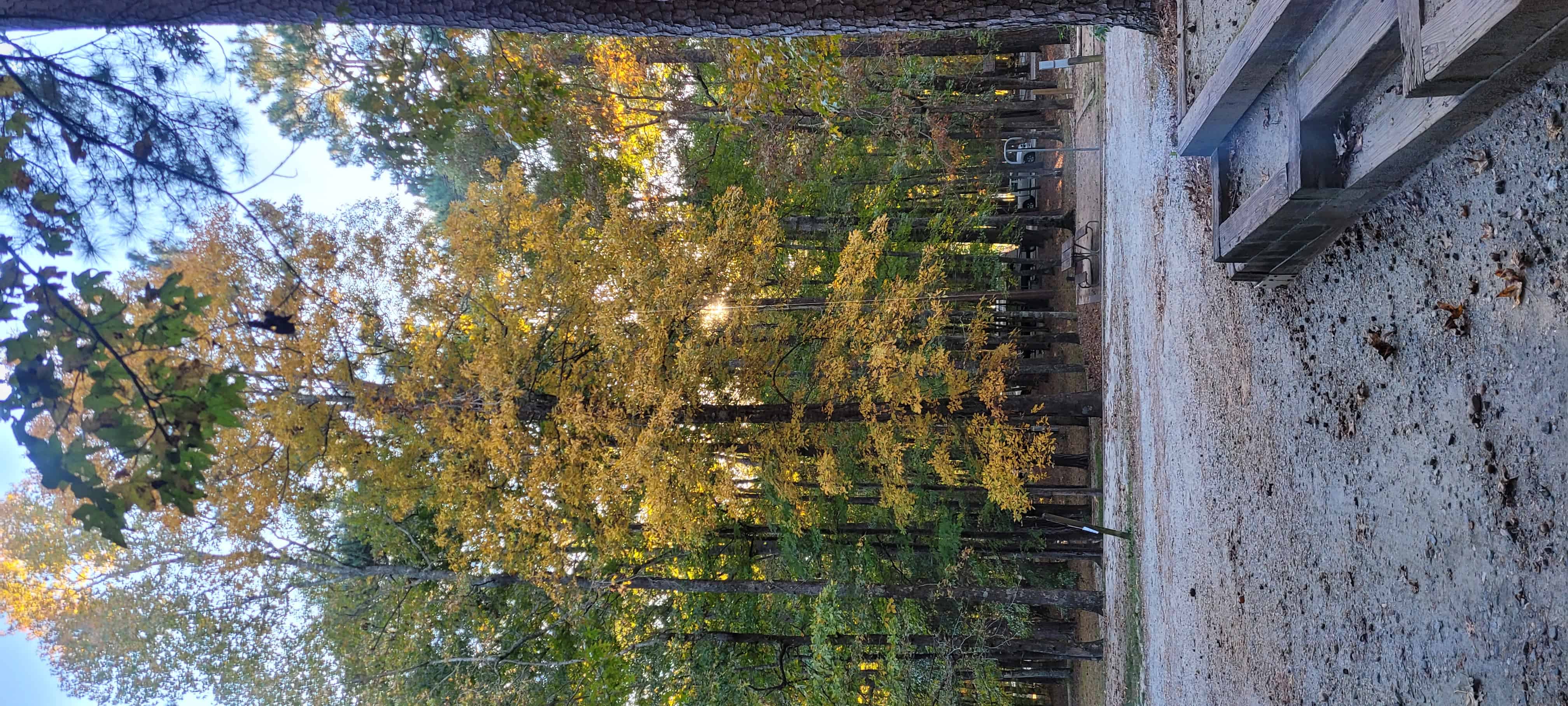 F.D. Roosevelt State Park