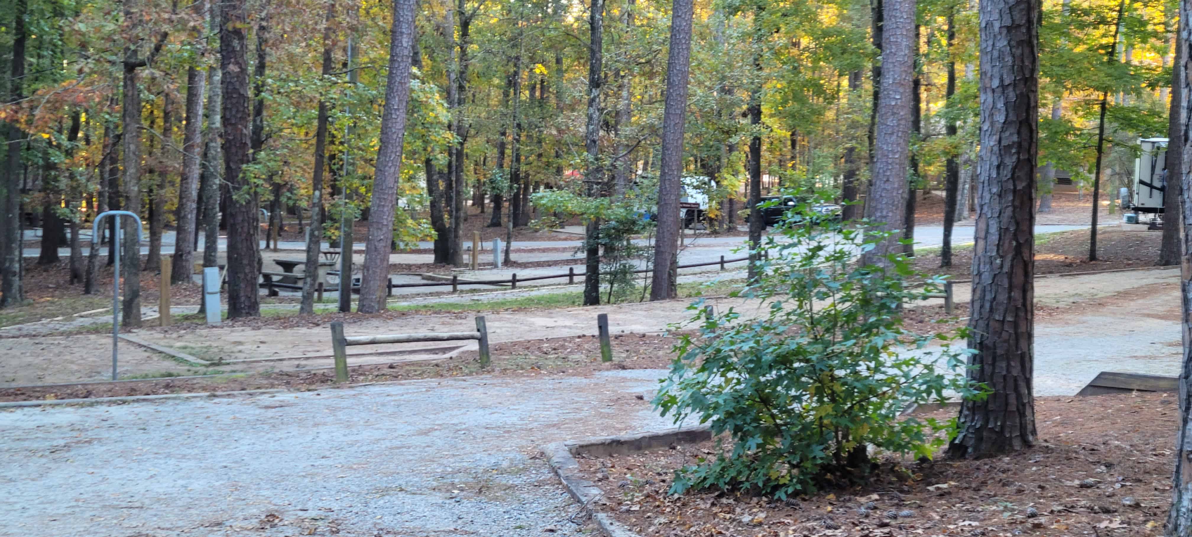 F.D. Roosevelt State Park