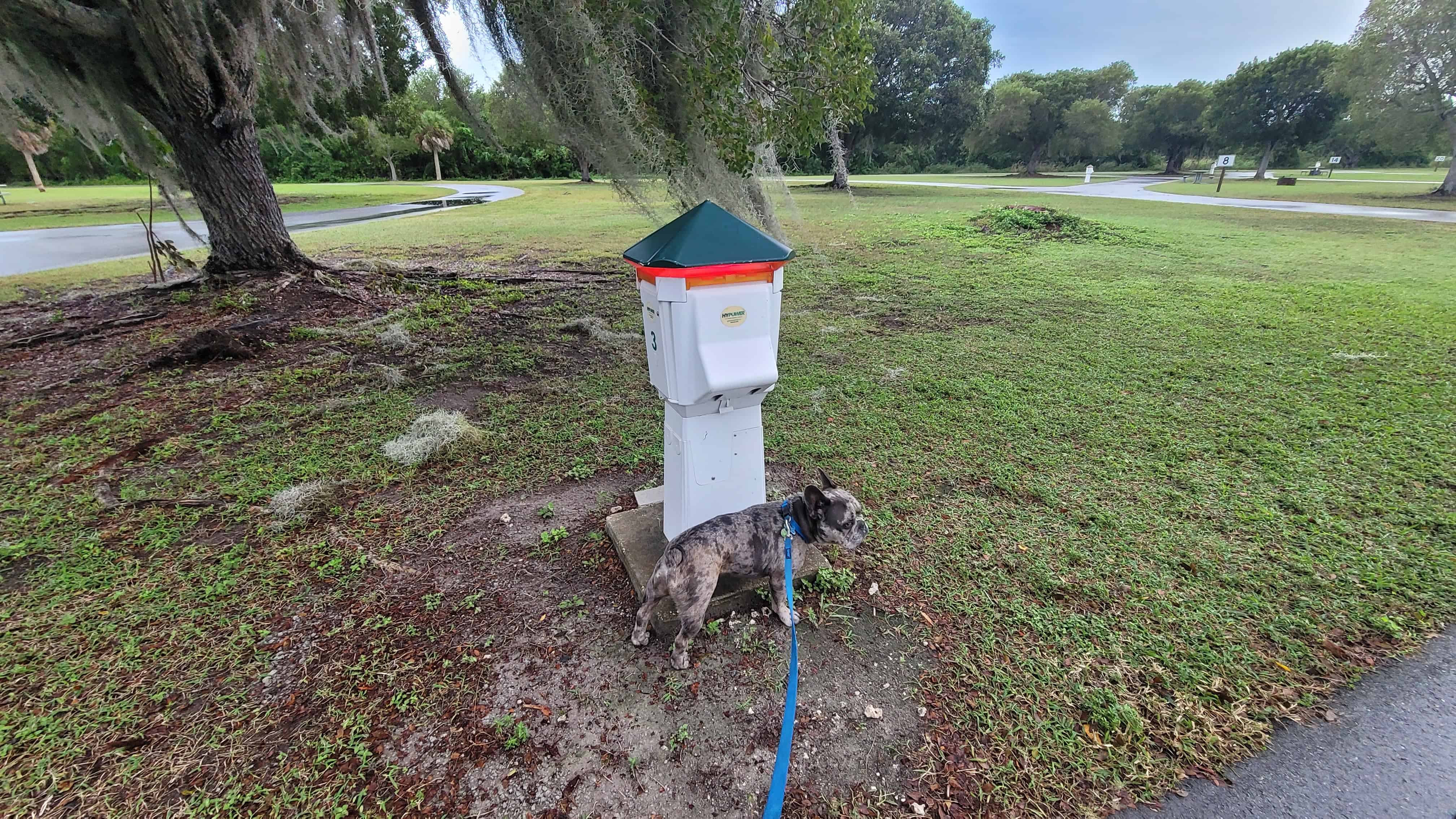 Flamingo Campground