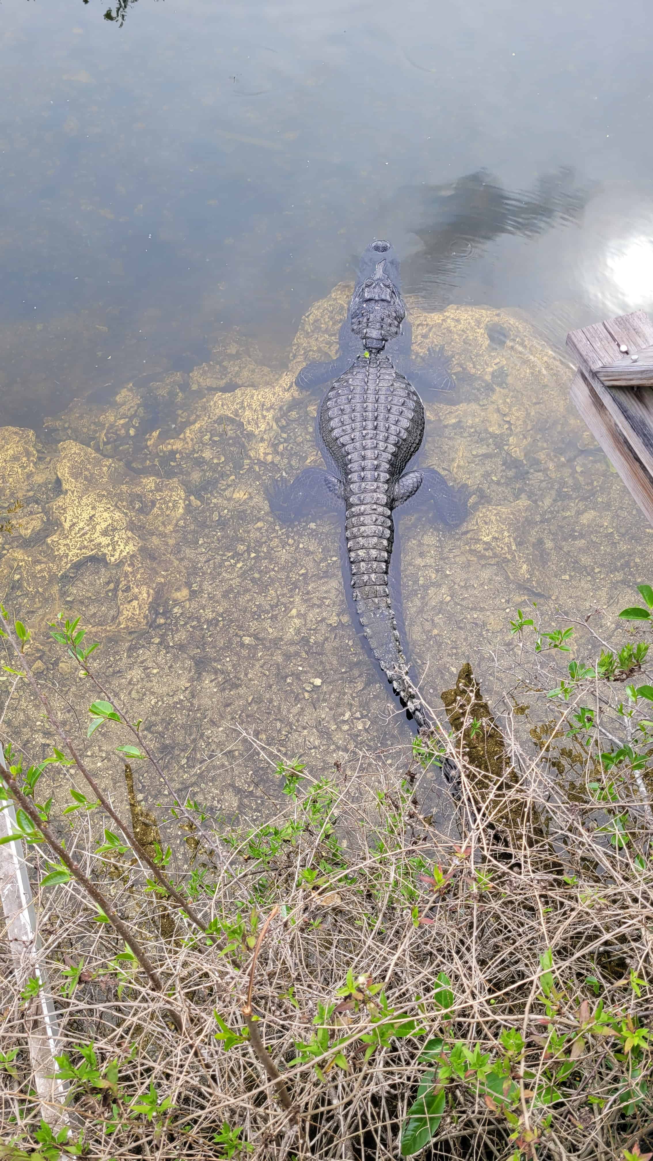 Monument Lake Campground