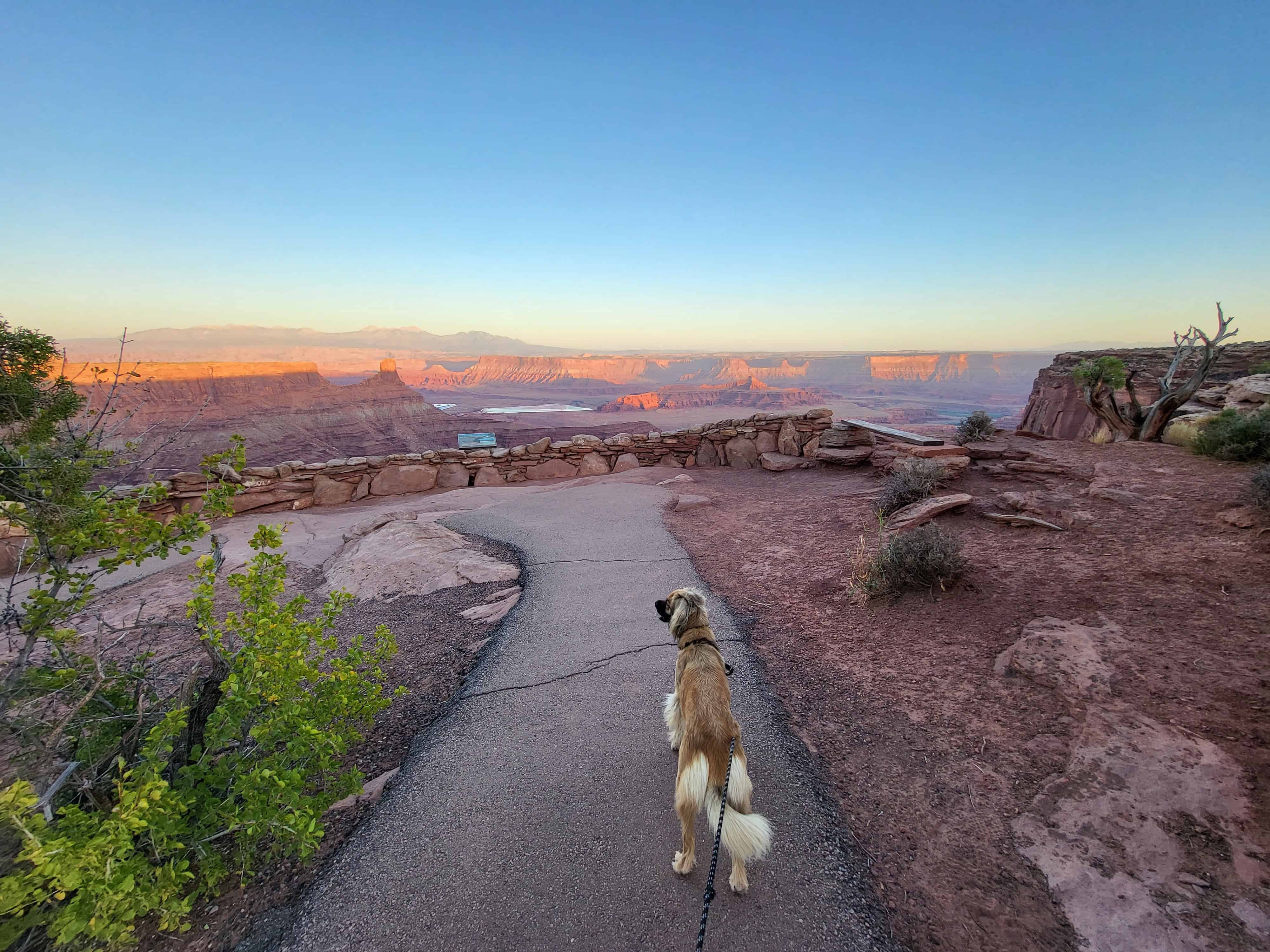 Dead Horse Point State Park Campground