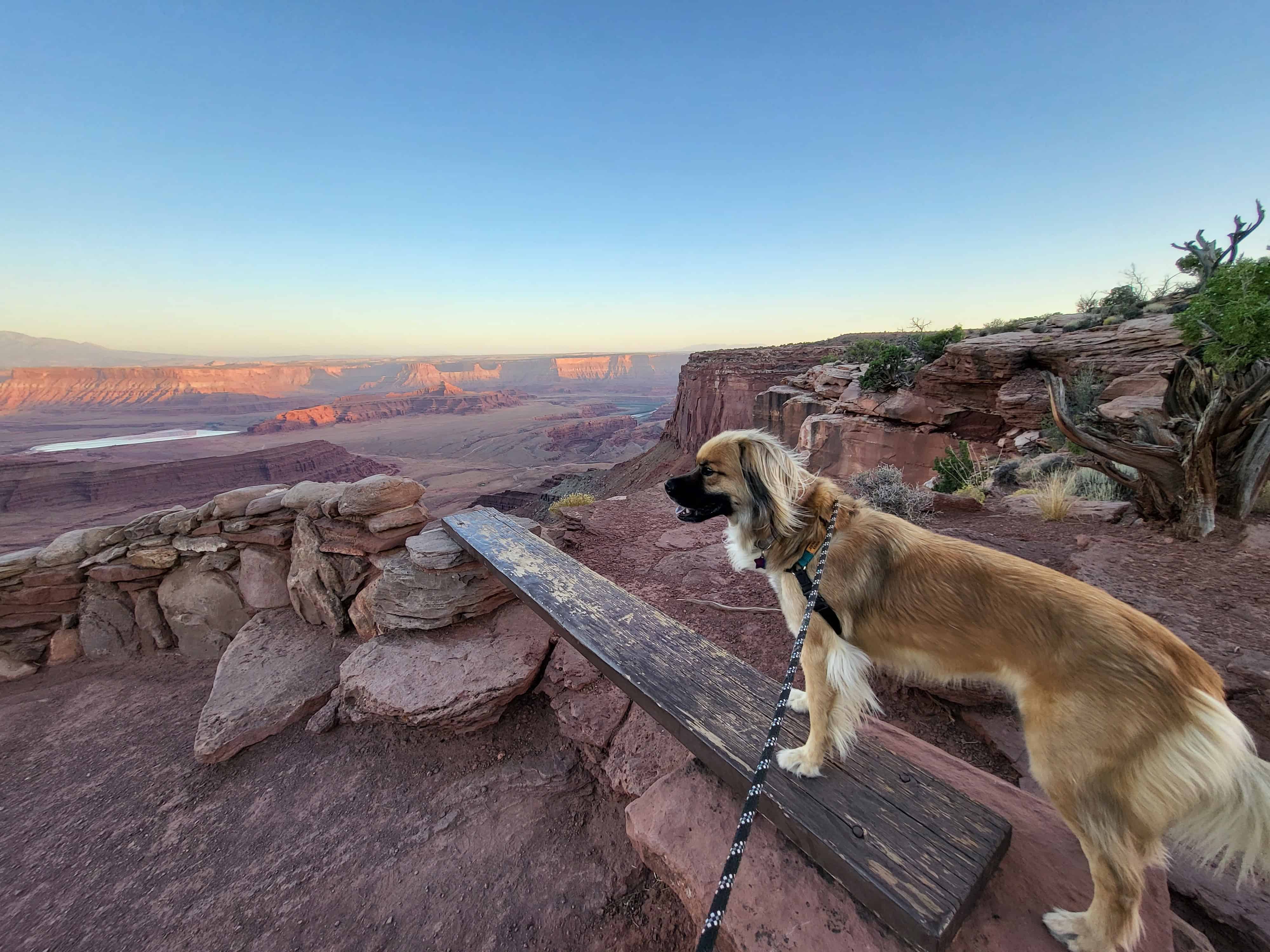 Dead Horse Point State Park Campground