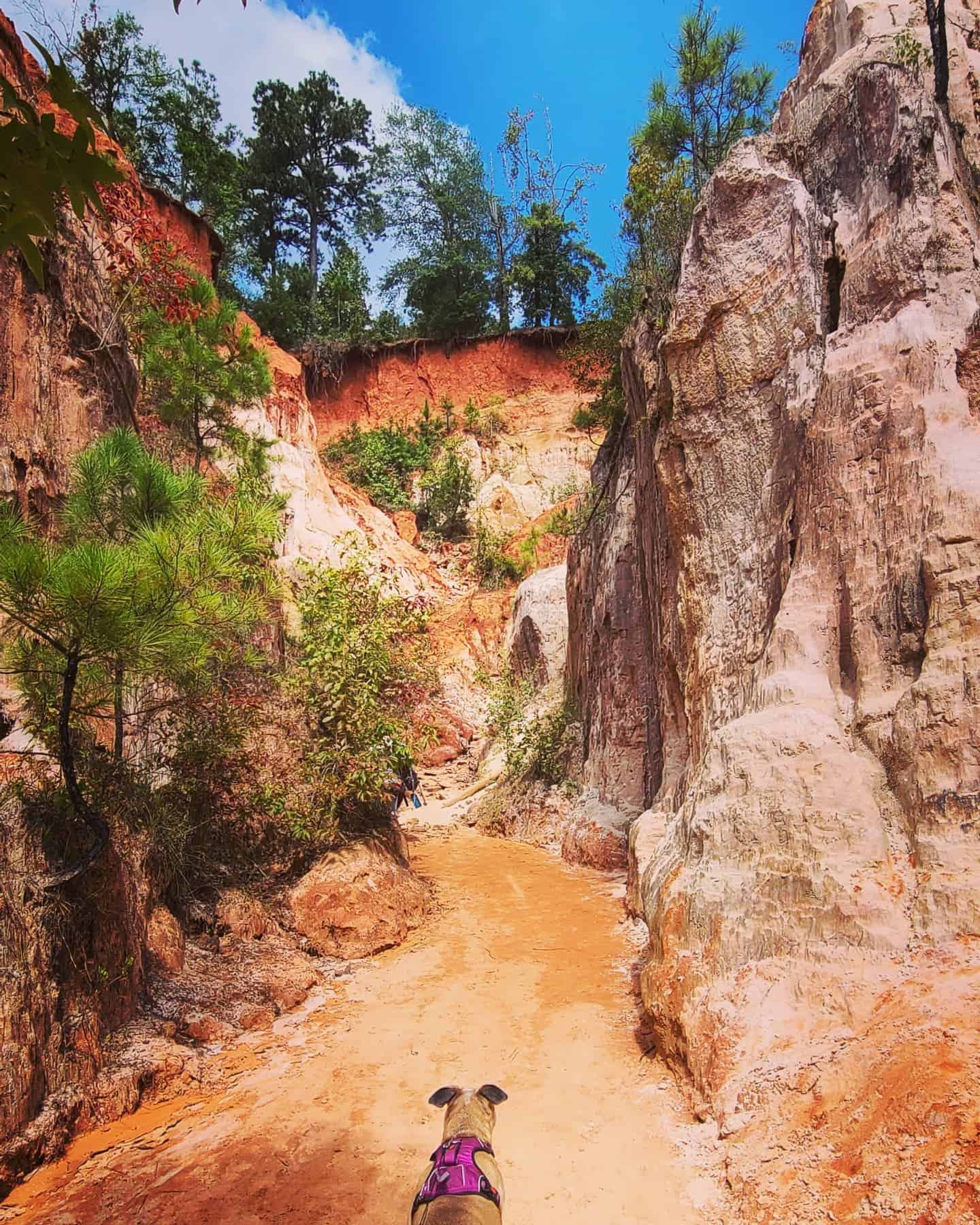 Florence Marina State Park