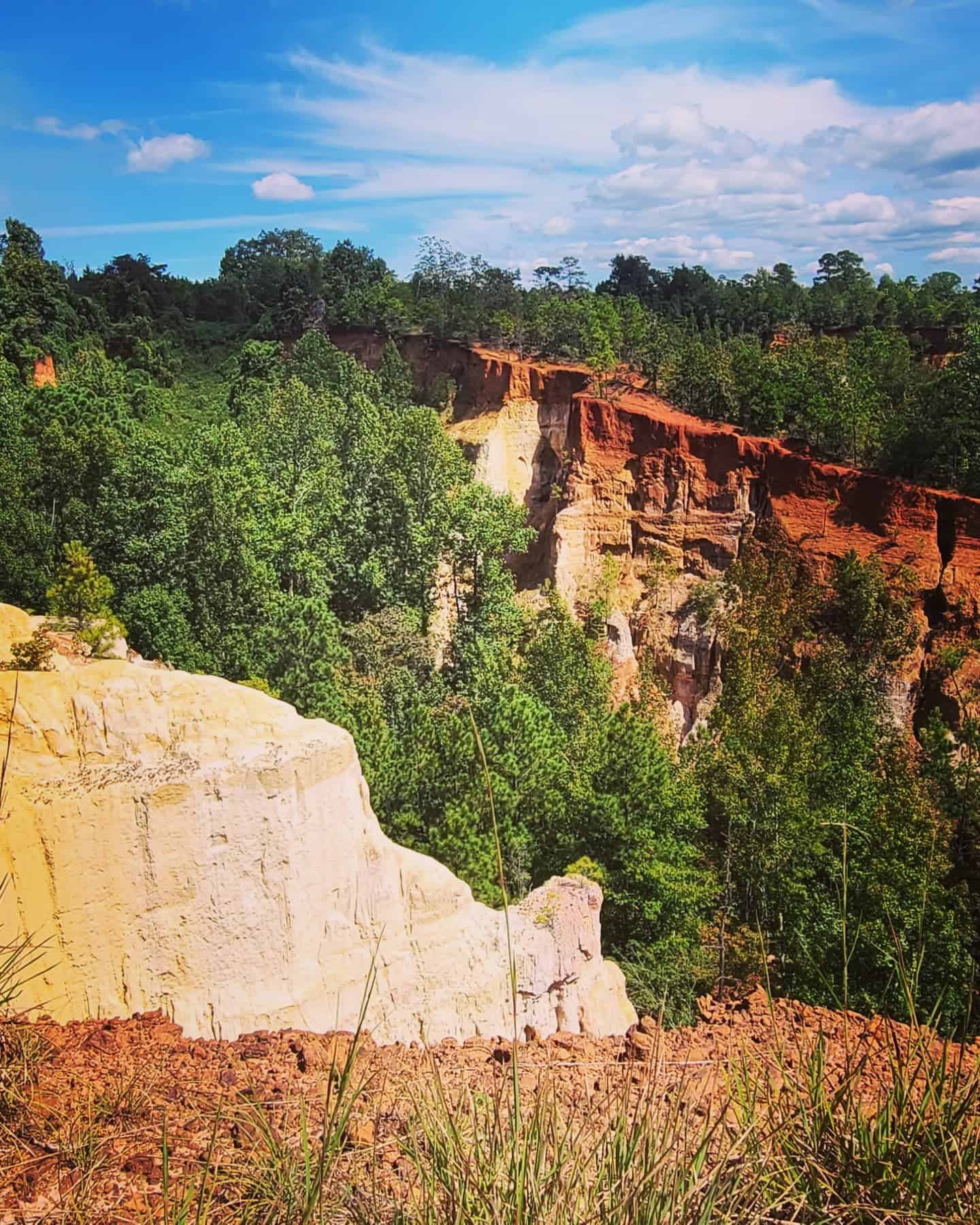 Florence Marina State Park