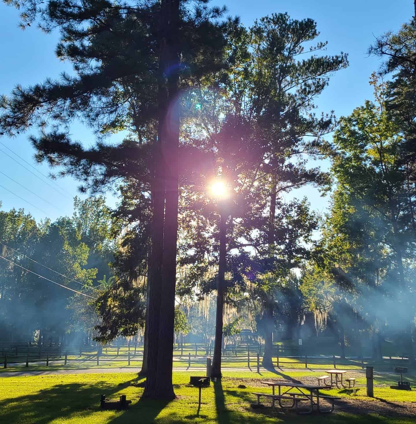 Florence Marina State Park