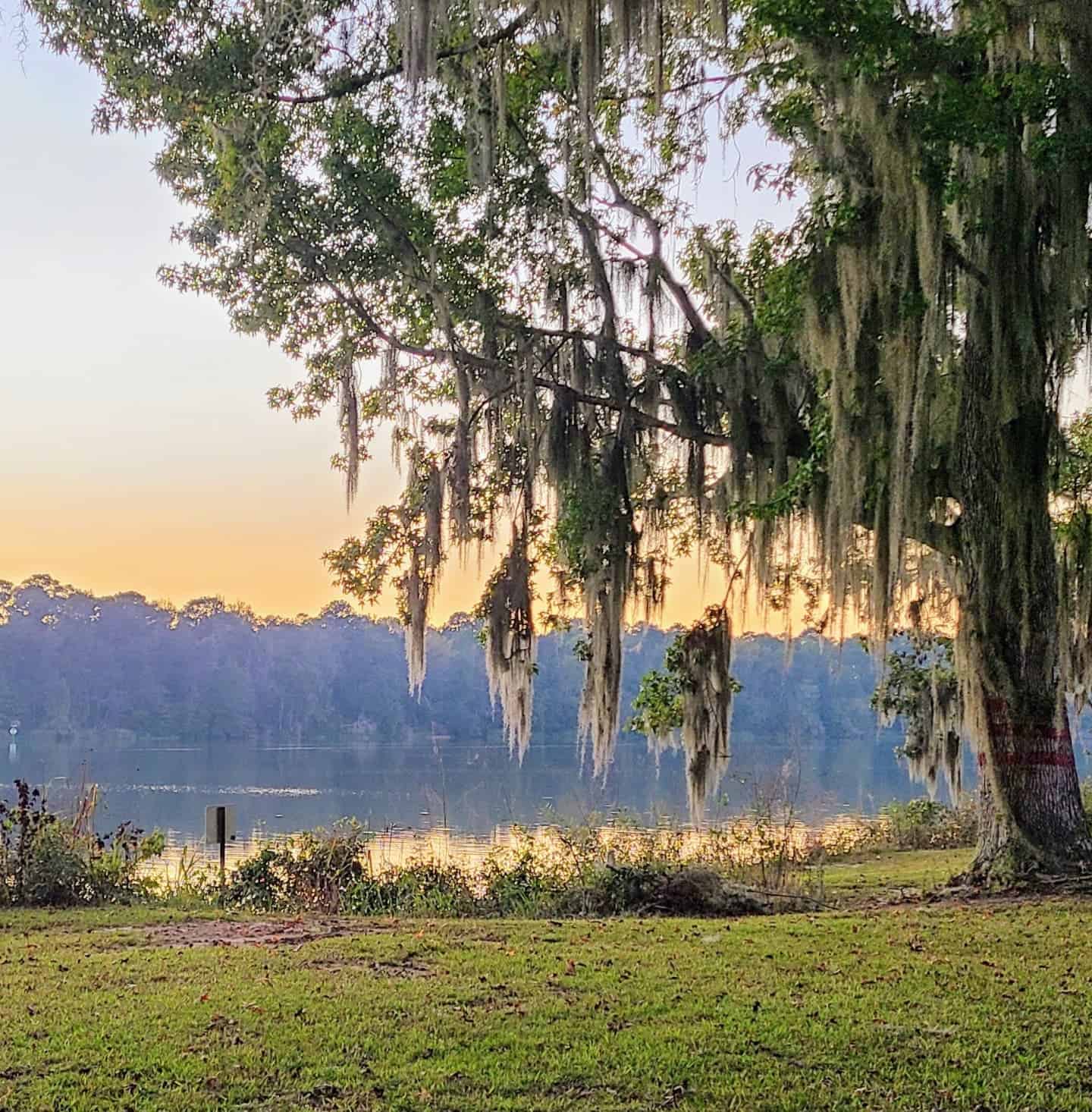 Florence Marina State Park