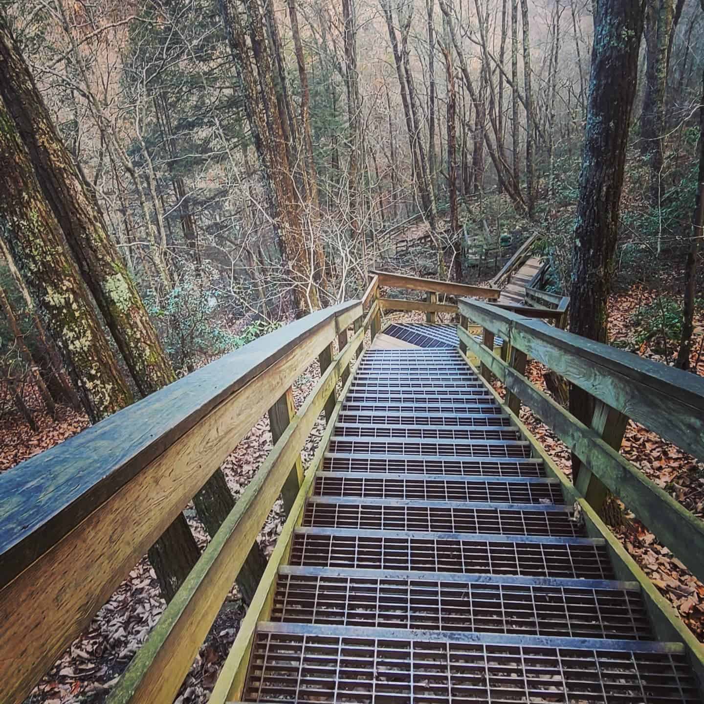Cloudland Canyon State Park