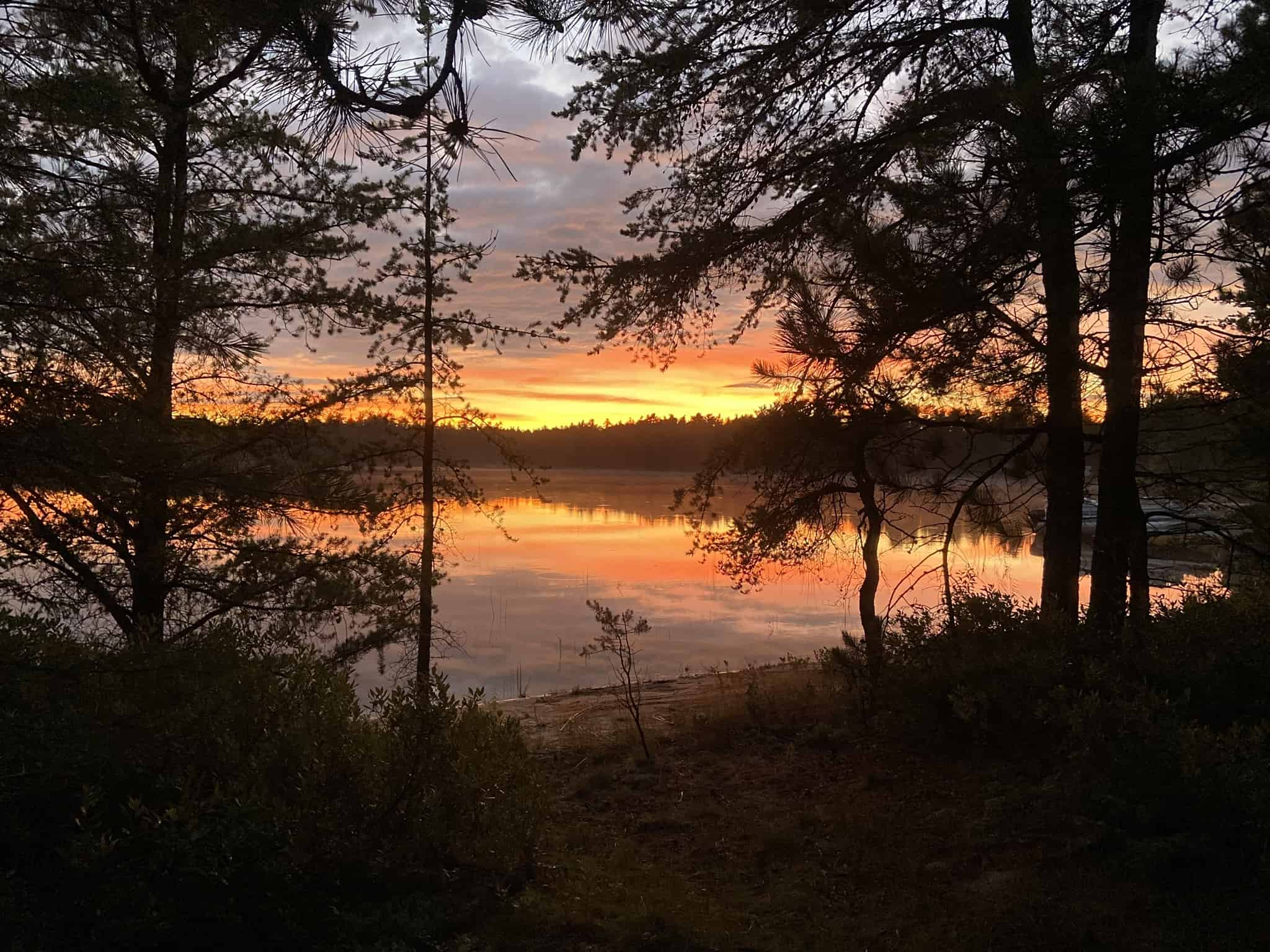 Bodi Lake State Forest Campground