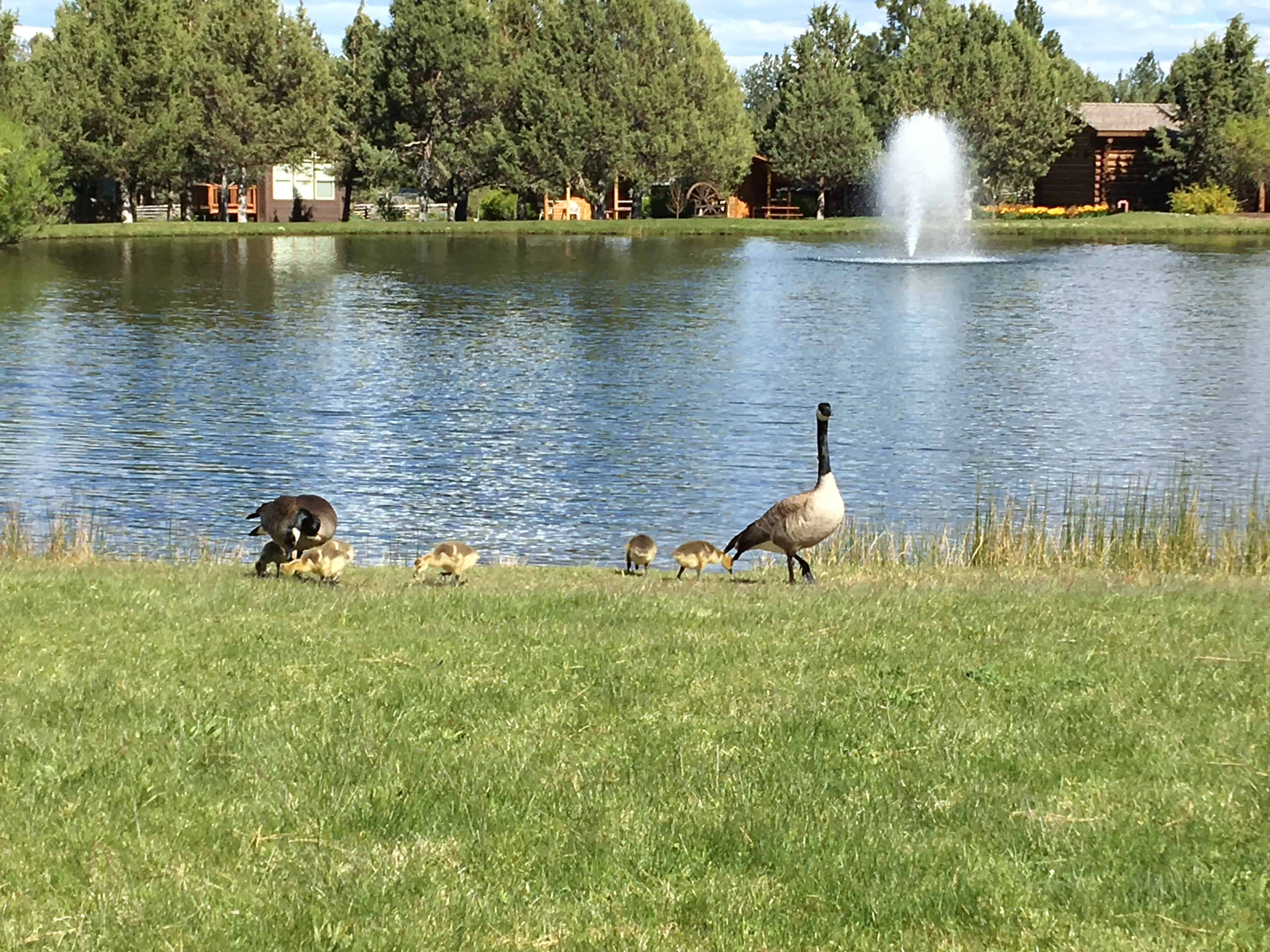 Bend Sisters Garden RV Resort