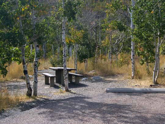 Angel Creek Campground