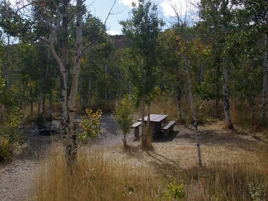 Angel Creek Campground