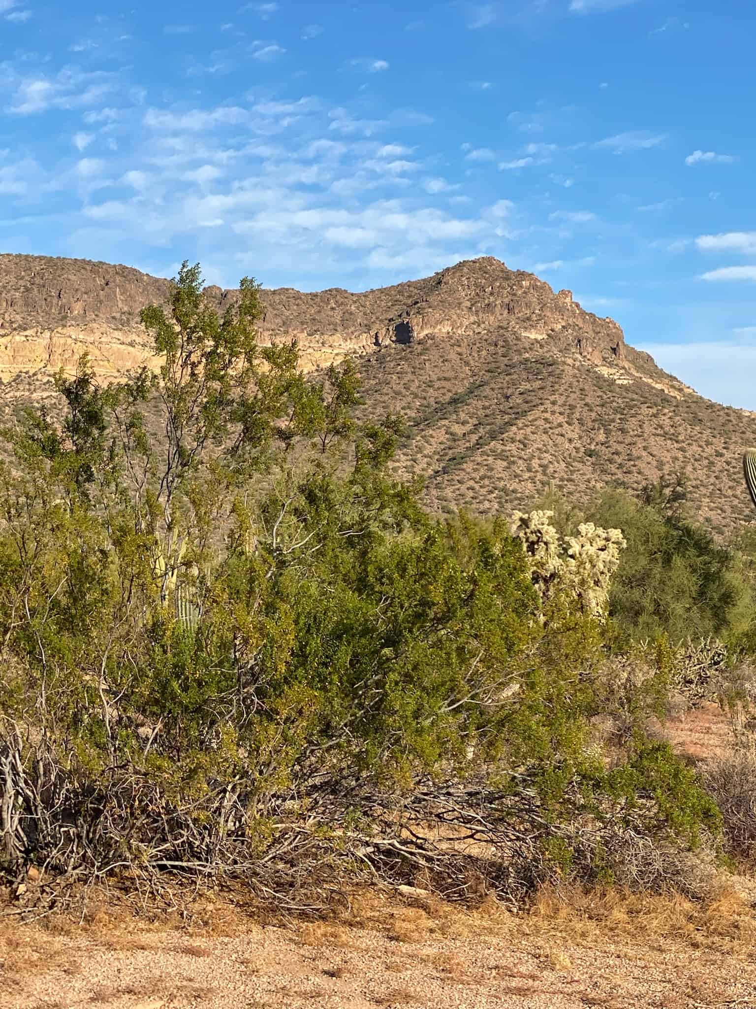 Usery Mountain Regional Park - Buckhorn Family Campground