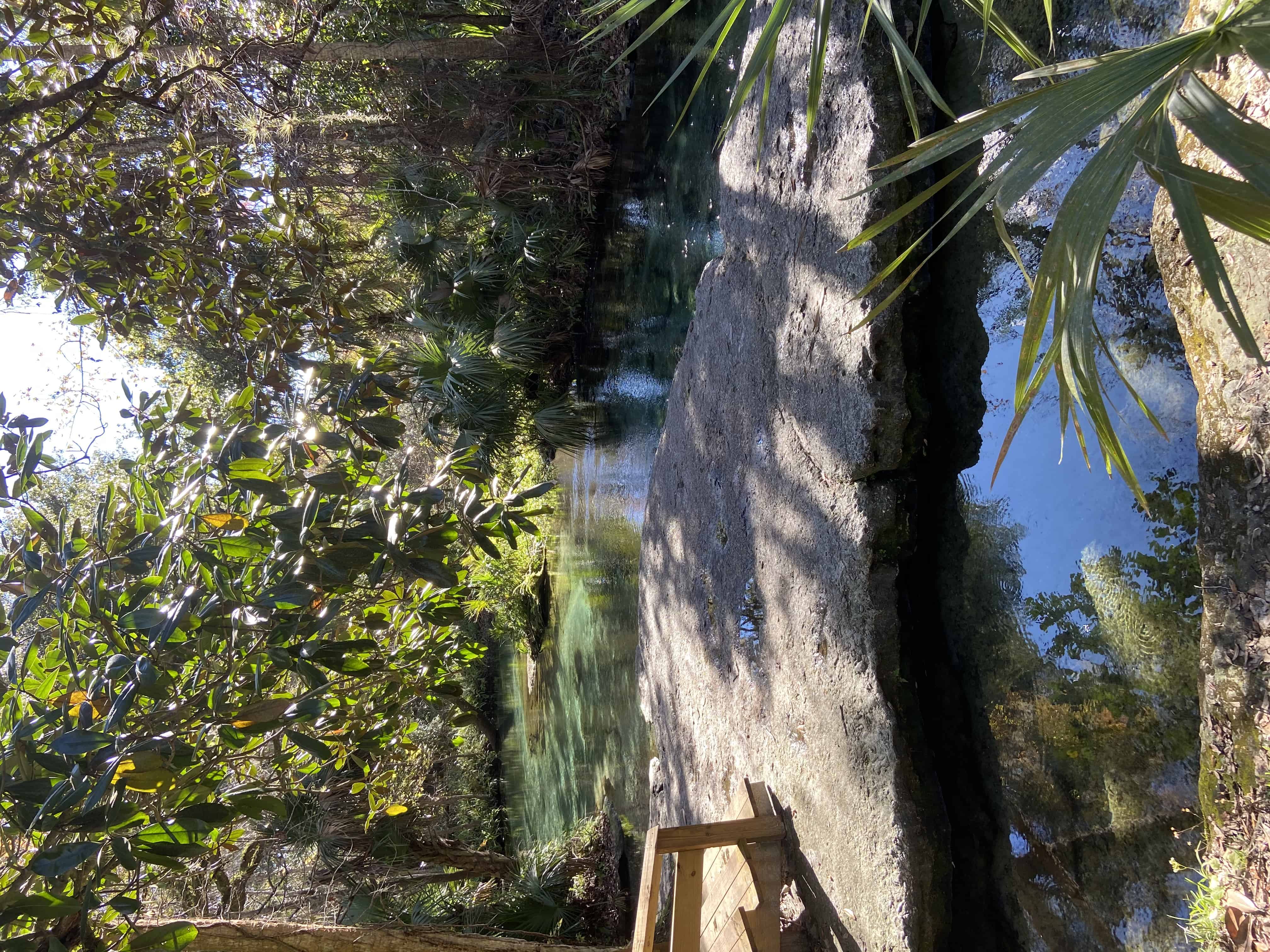 Kelly Park / Rock Springs