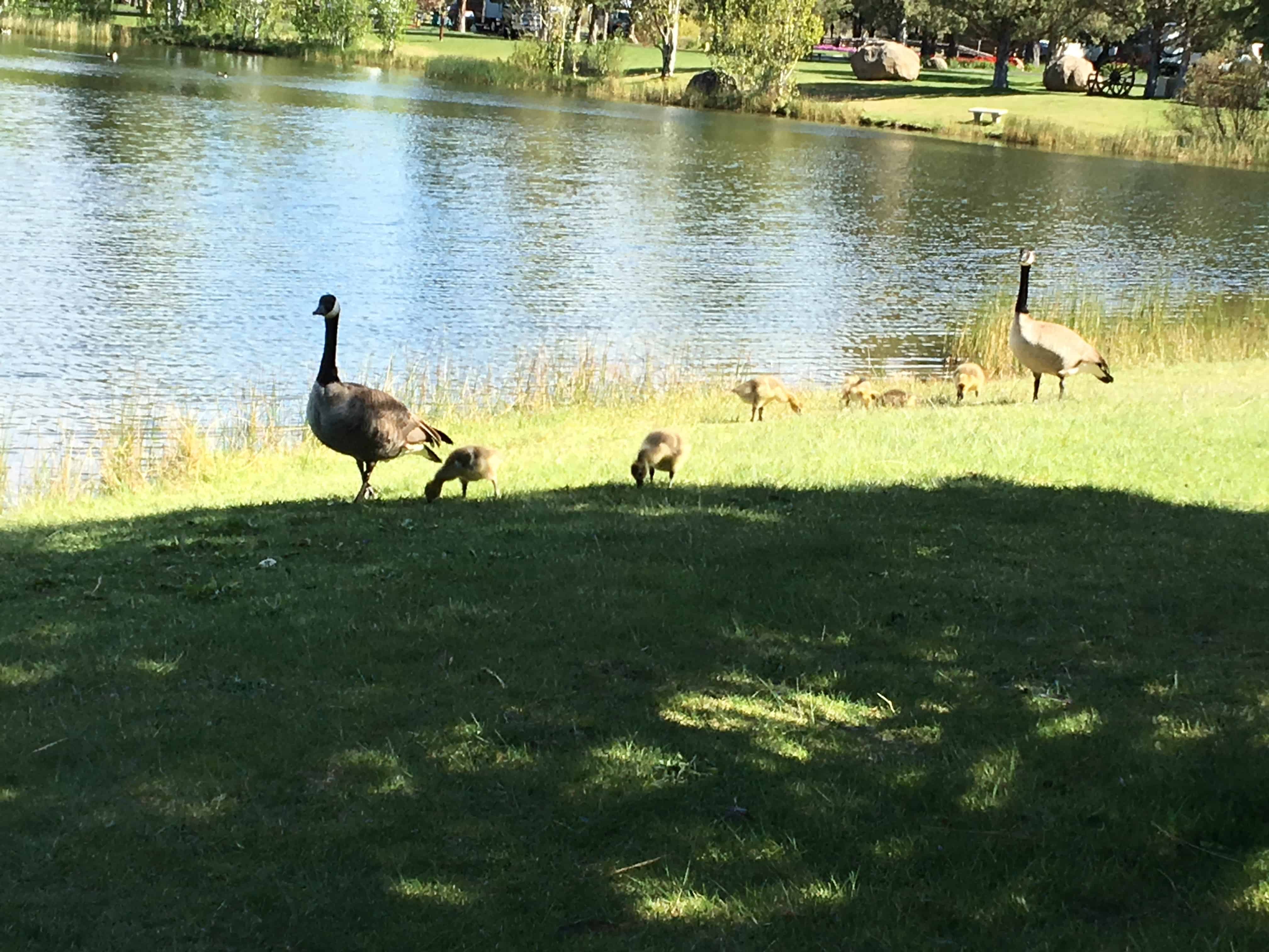 Bend Sisters Garden RV Resort