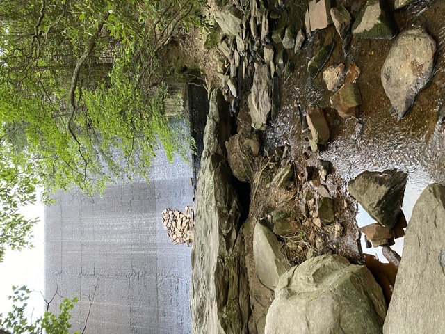 Hanging Rock State Park