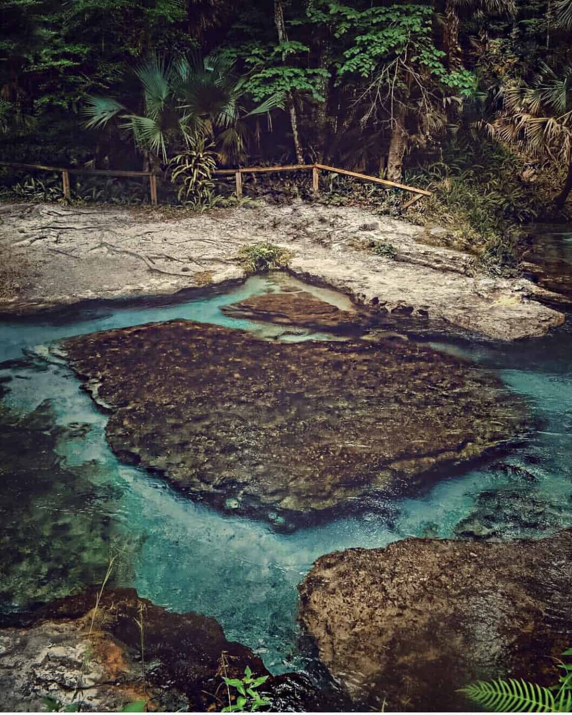 Kelly Park / Rock Springs