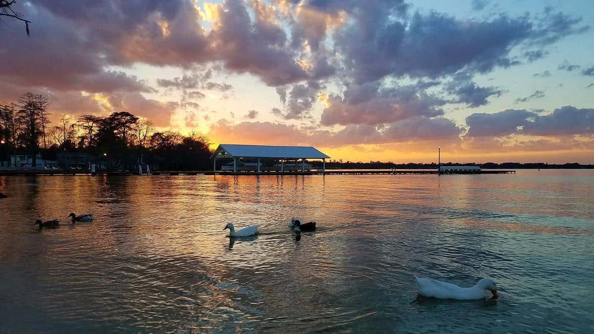 Camp Clearwater Family Campground