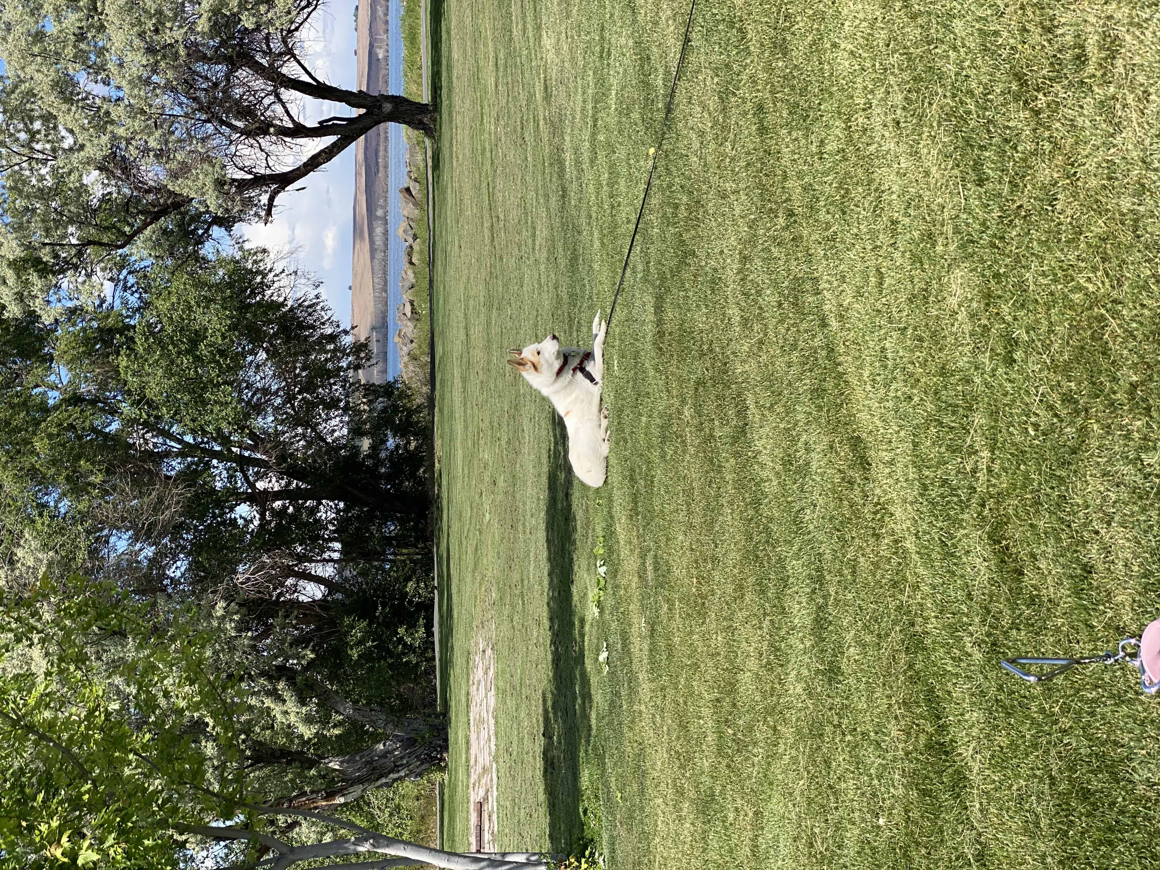 Boardman Marina Park