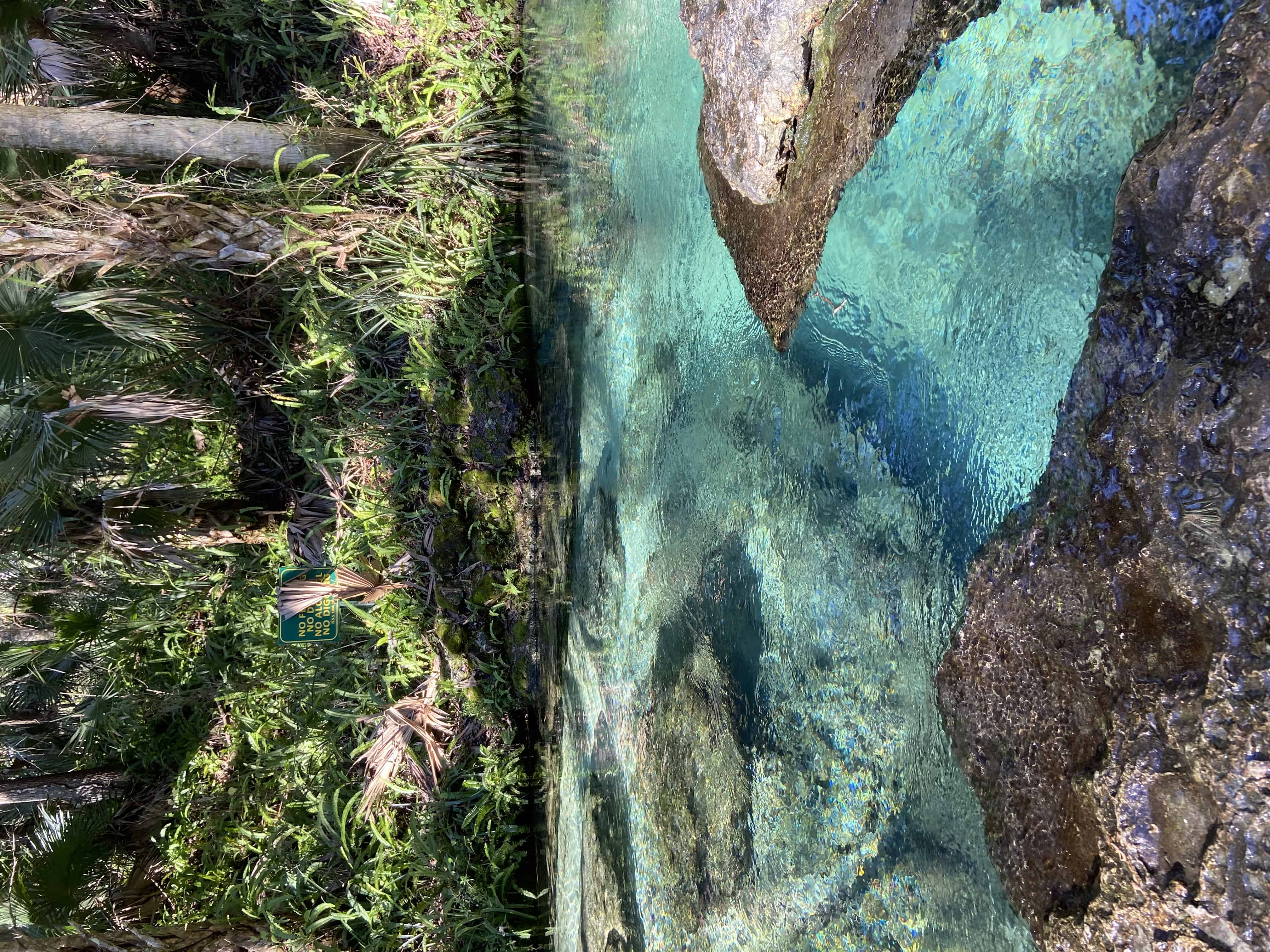 Kelly Park / Rock Springs