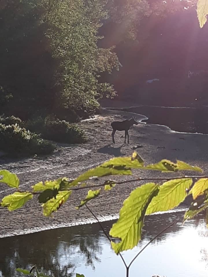Baker River Campground