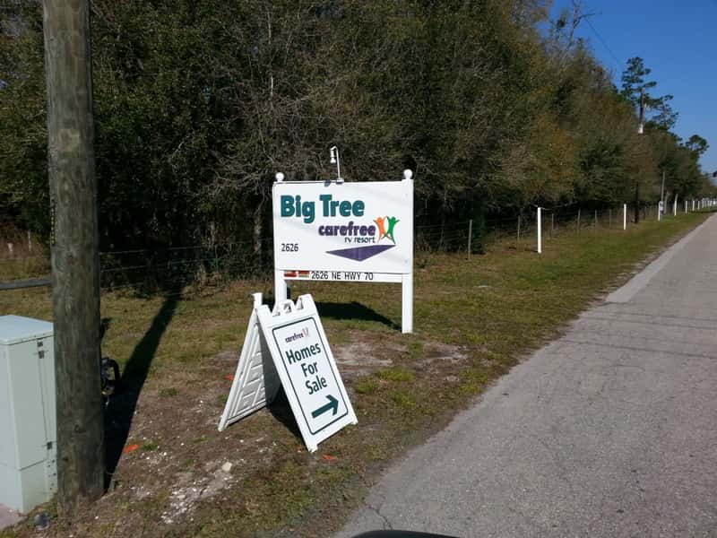 Big Tree RV Resort