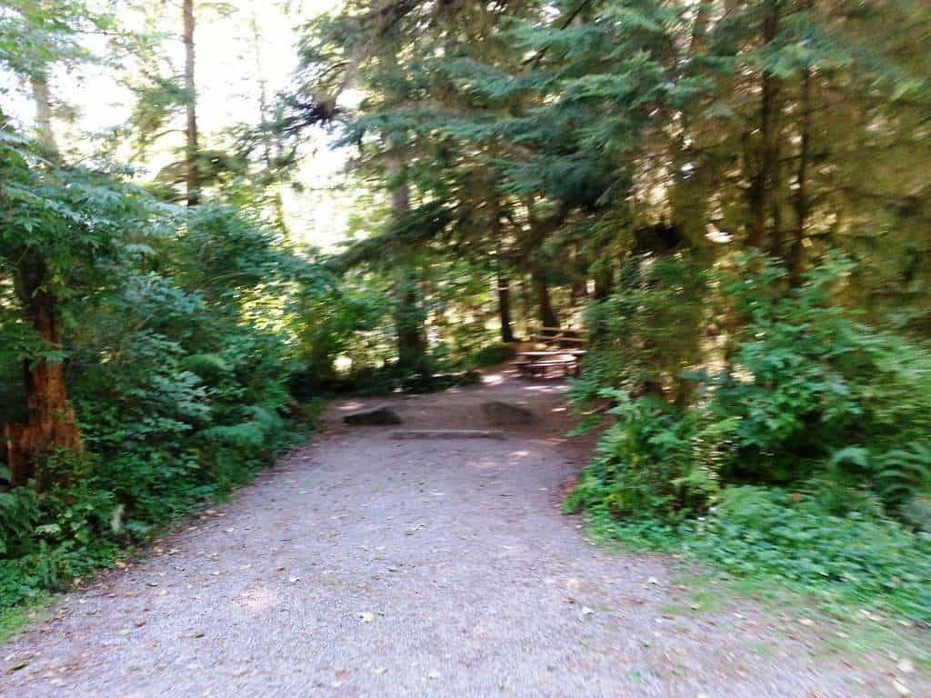 Bogachiel State Park Campground