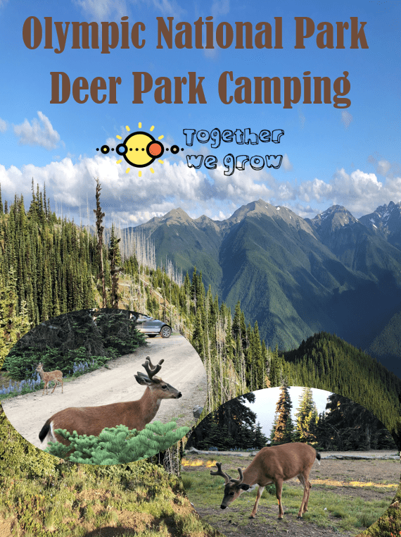 Deer Park Campground
