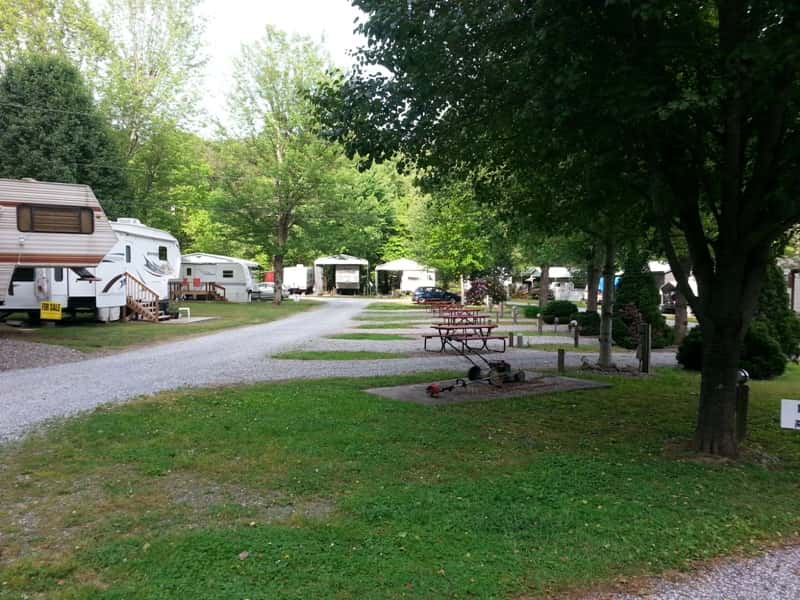 Cooper Creek Campground