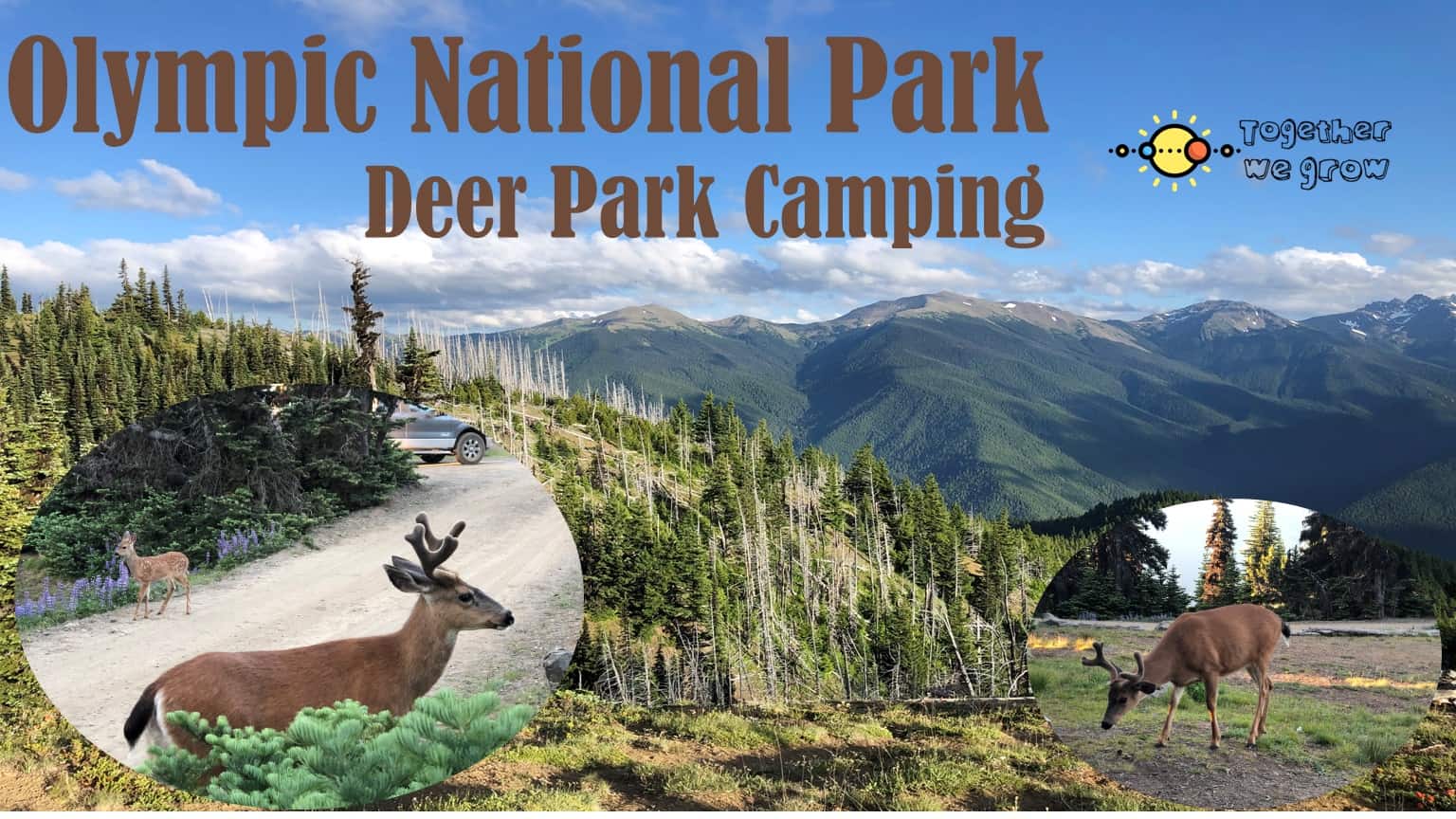 Deer Park Campground