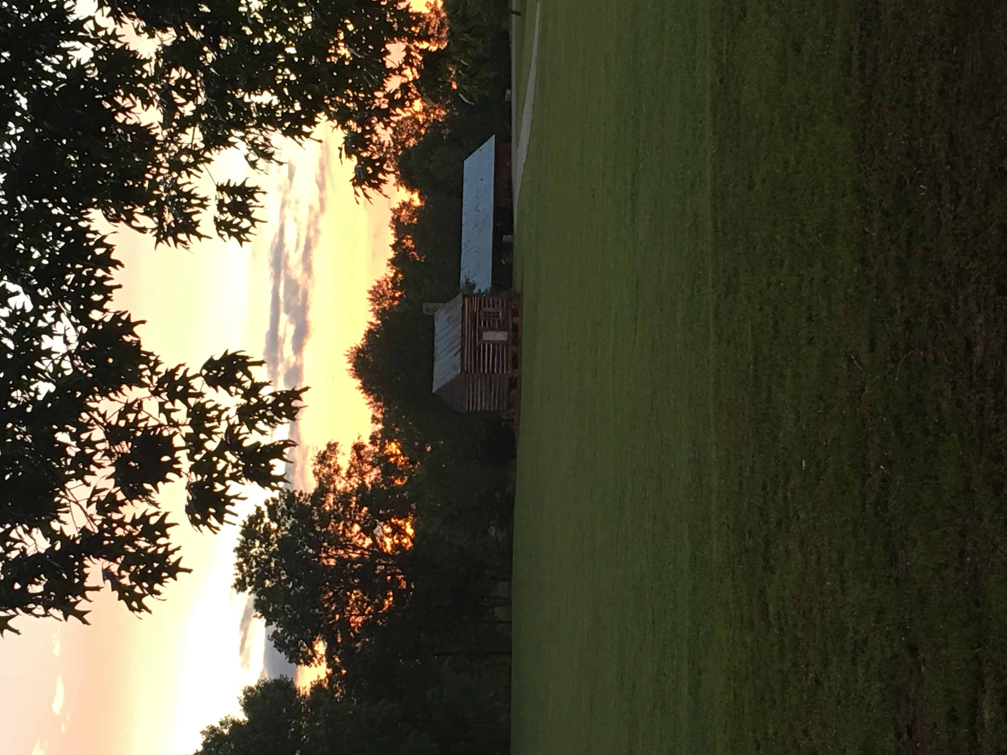 Sharon Johnston Park