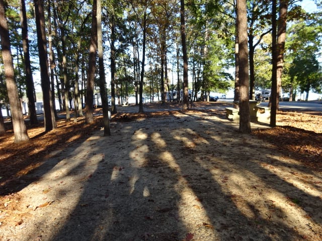 Elijah Clark State Park