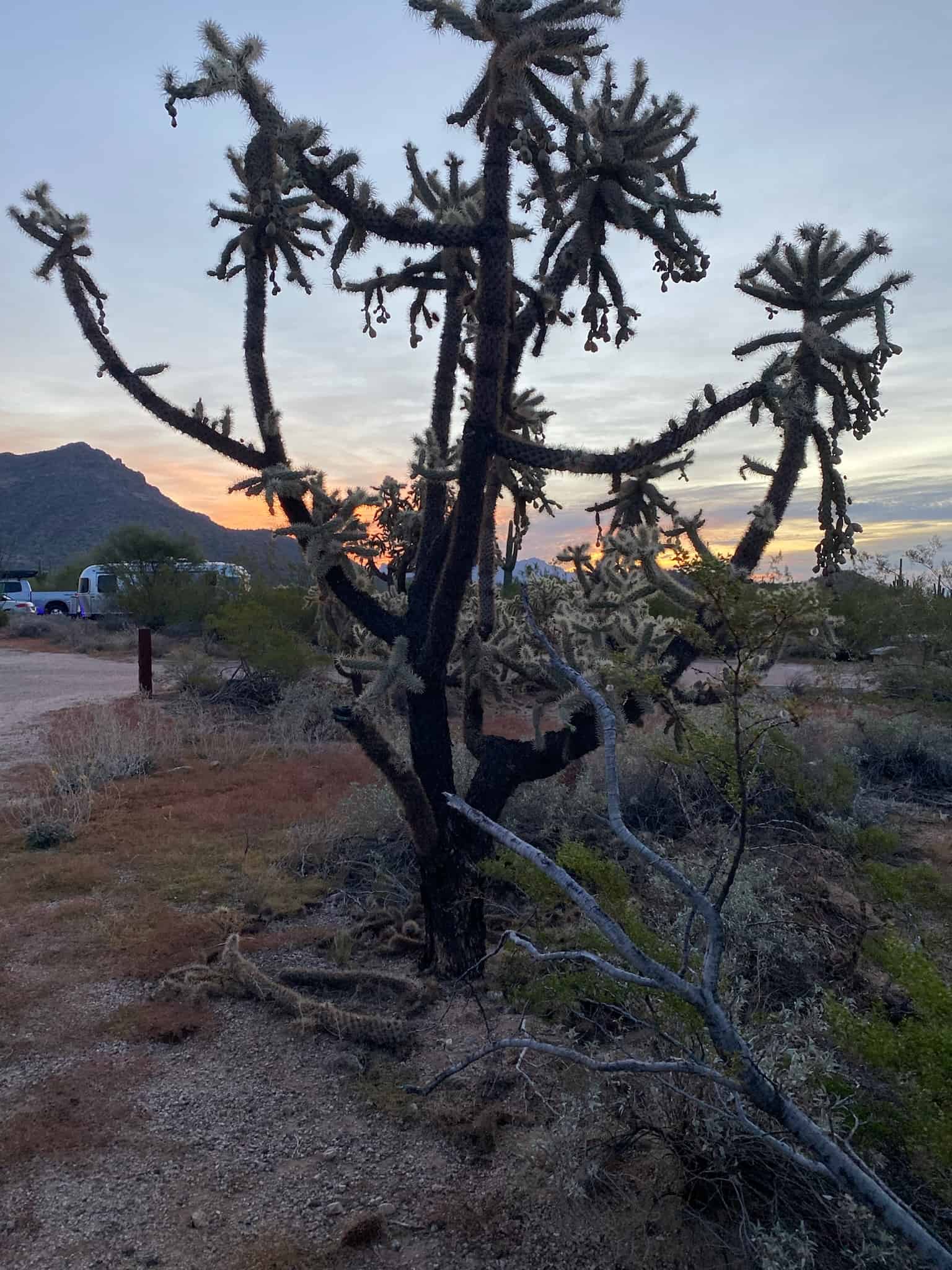 Usery Mountain Regional Park - Buckhorn Family Campground