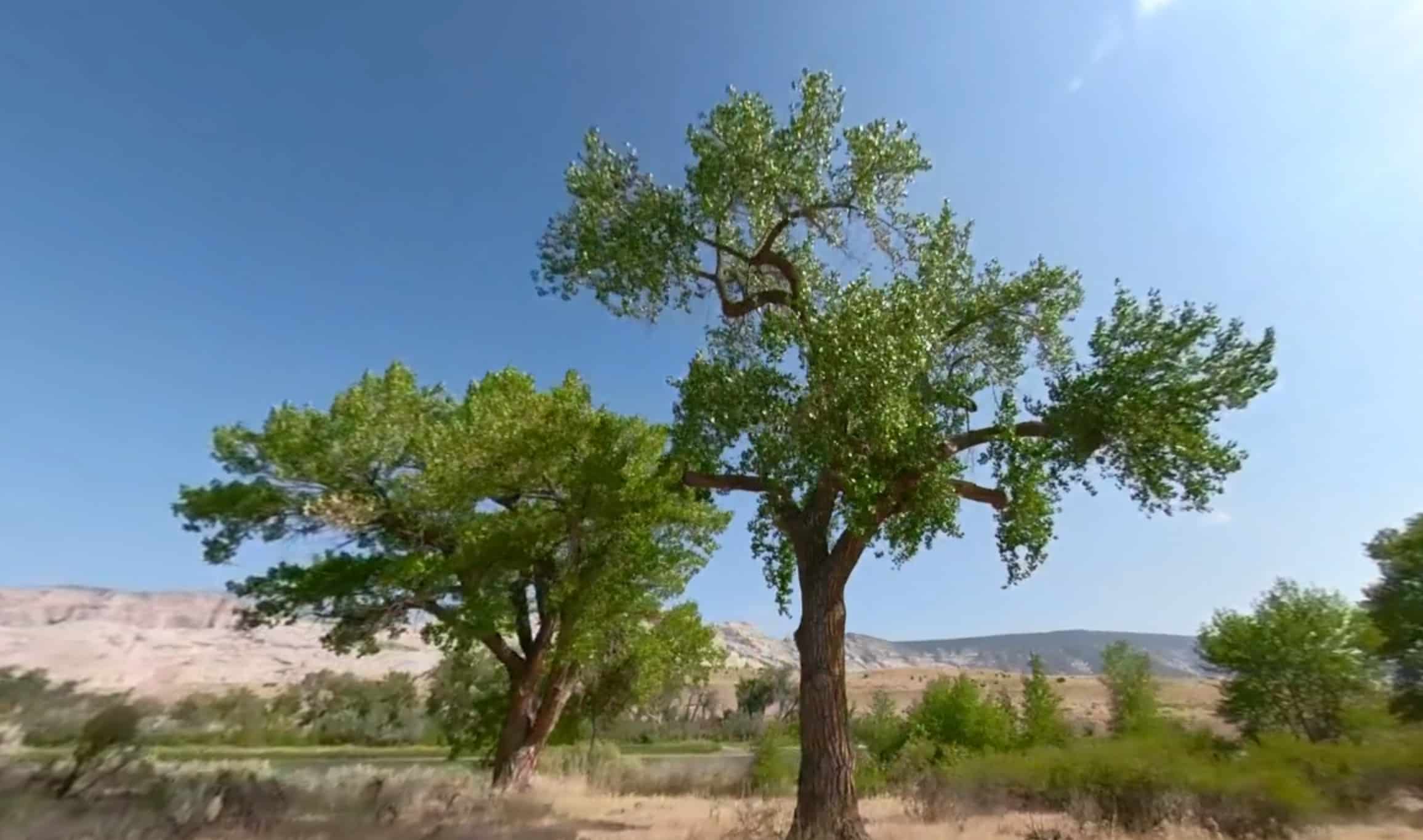 Green River Campground