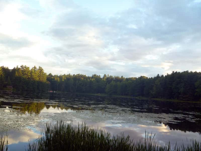 Half Moon Pond State Park