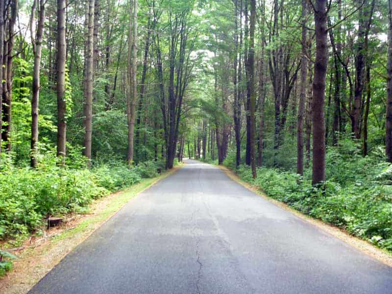 Half Moon Pond State Park