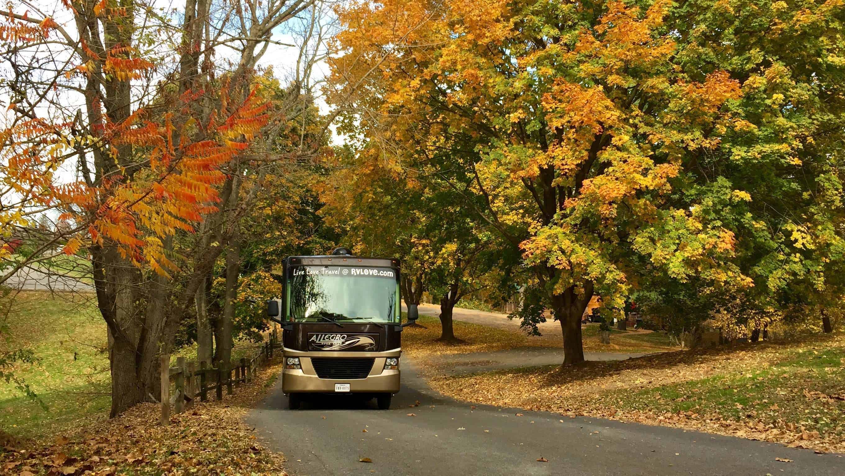 Circle M RV and Camping Resort