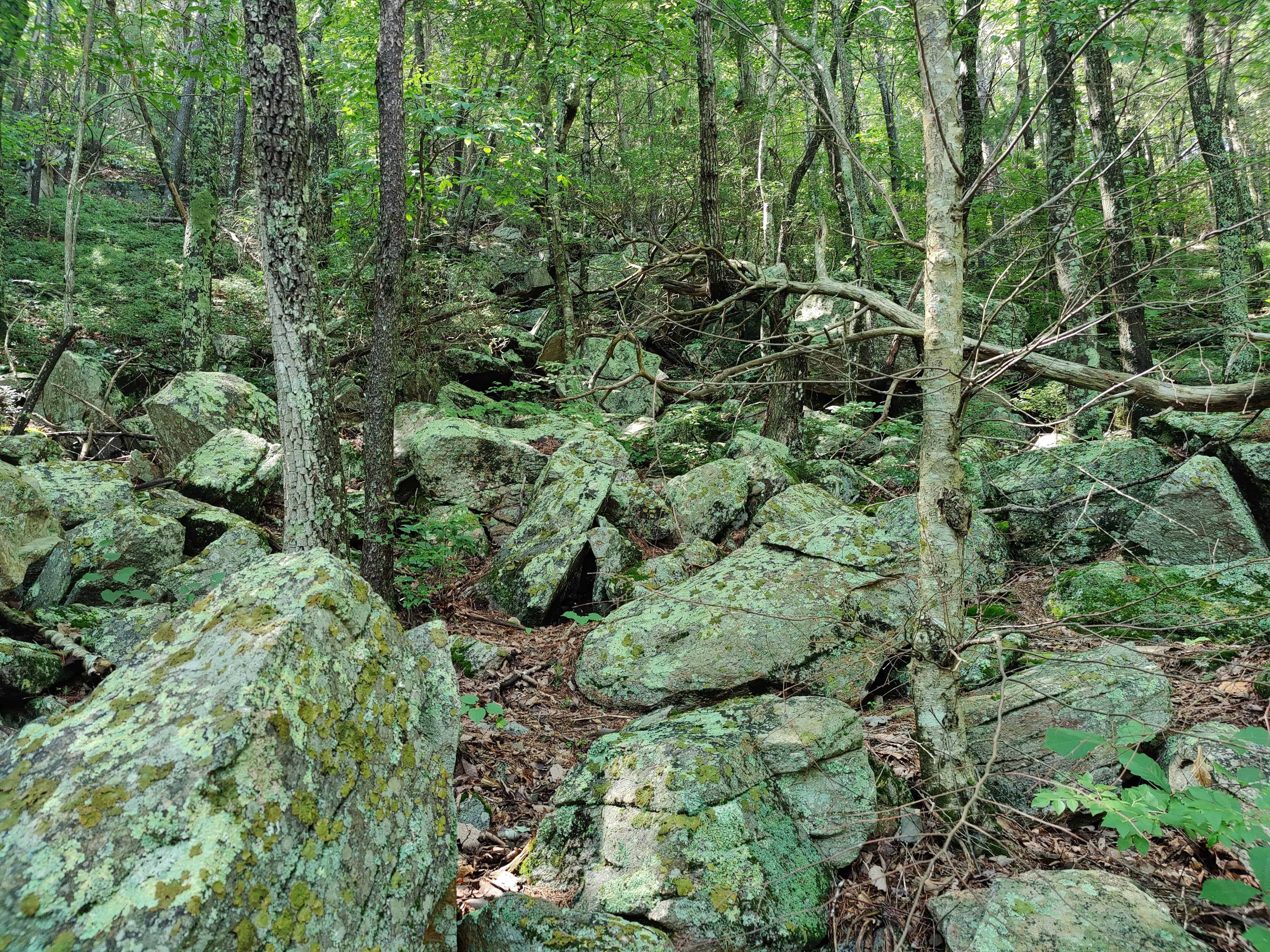 Fort Mountain State Park