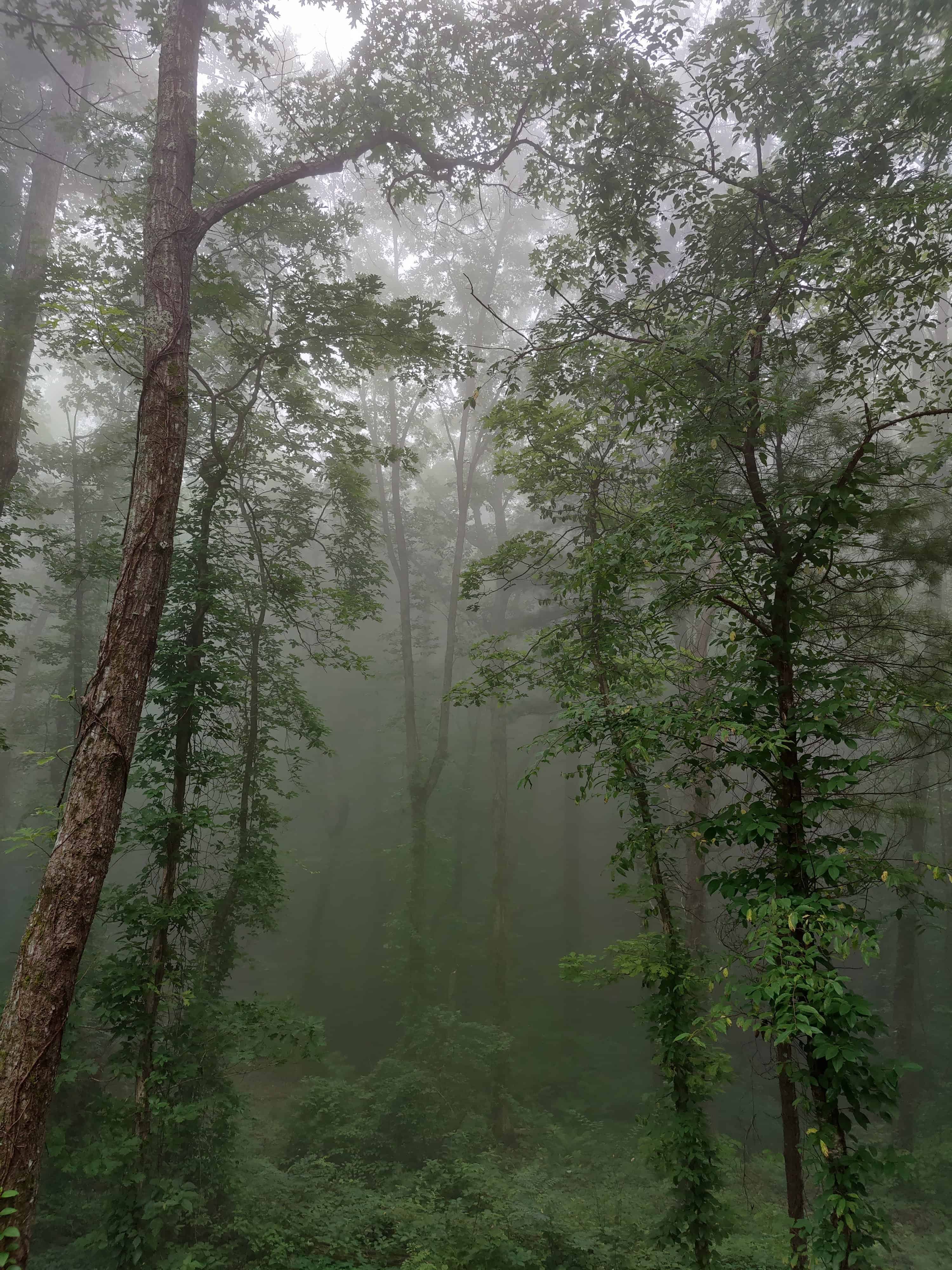 Fort Mountain State Park