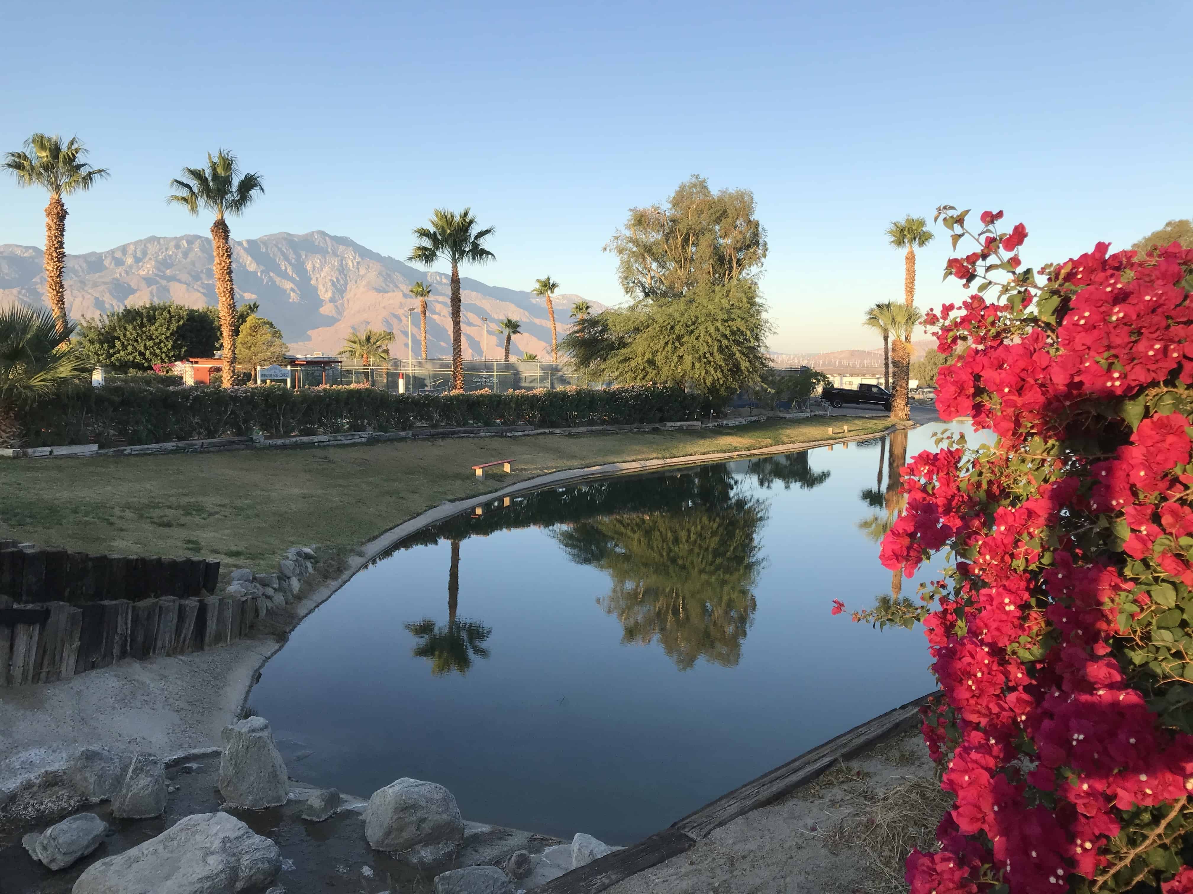 Catalina Spa & RV Resort