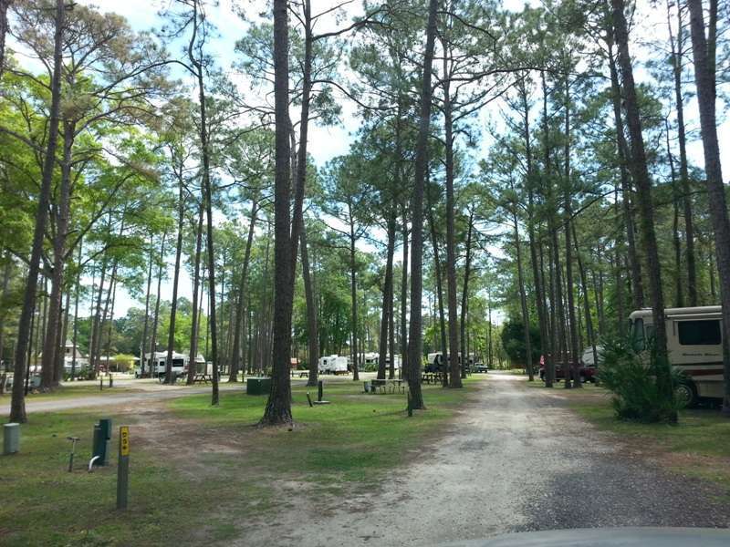 Jacksonville North / St. Marys KOA