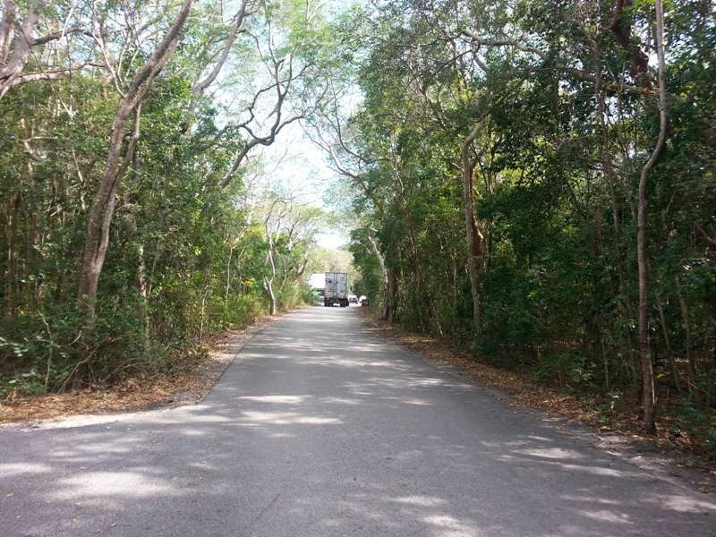 John Pennekamp Coral Reef State Park Campground