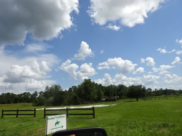 Lake Louisa State Park Campground