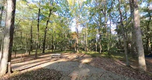 Mammoth Cave Campground